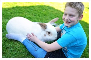 PETTINGZOO-DSC07308Fbs