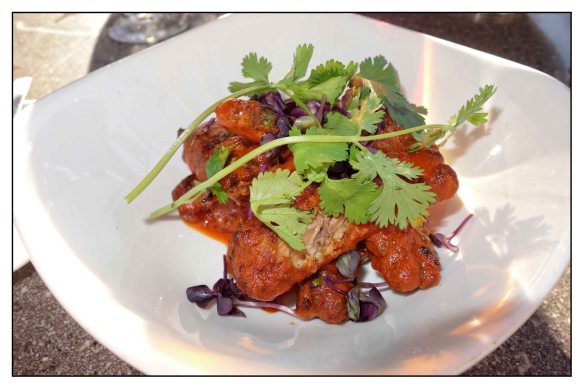 carthayfirecrackerduck2